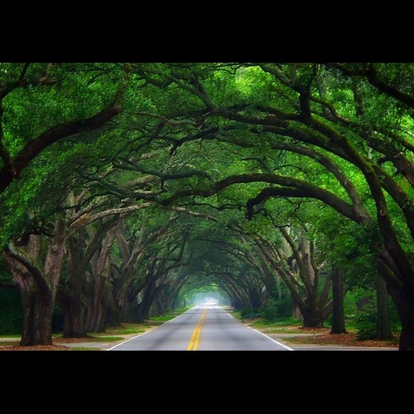 Meet your Posher, Jennifer - Picture 1 of 1